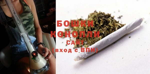 PSILOCYBIN Гусев
