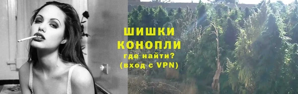 PSILOCYBIN Гусев