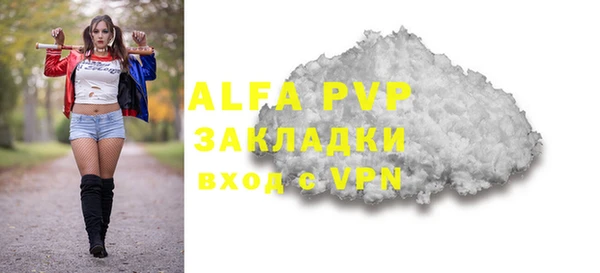 PSILOCYBIN Гусев