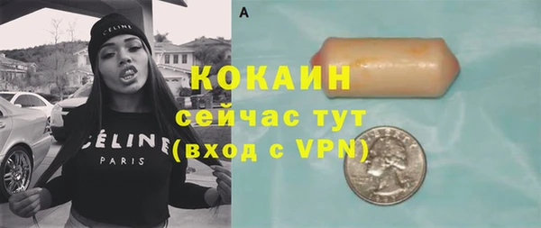 PSILOCYBIN Гусев