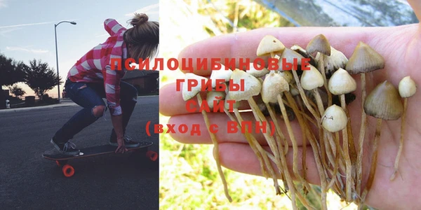 PSILOCYBIN Гусев