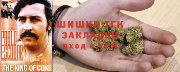 PSILOCYBIN Гусев