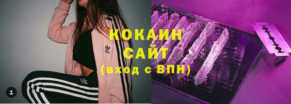 PSILOCYBIN Гусев