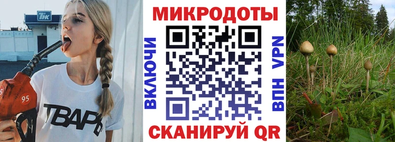 Галлюциногенные грибы ЛСД  Купить  Нижняя Салда 
